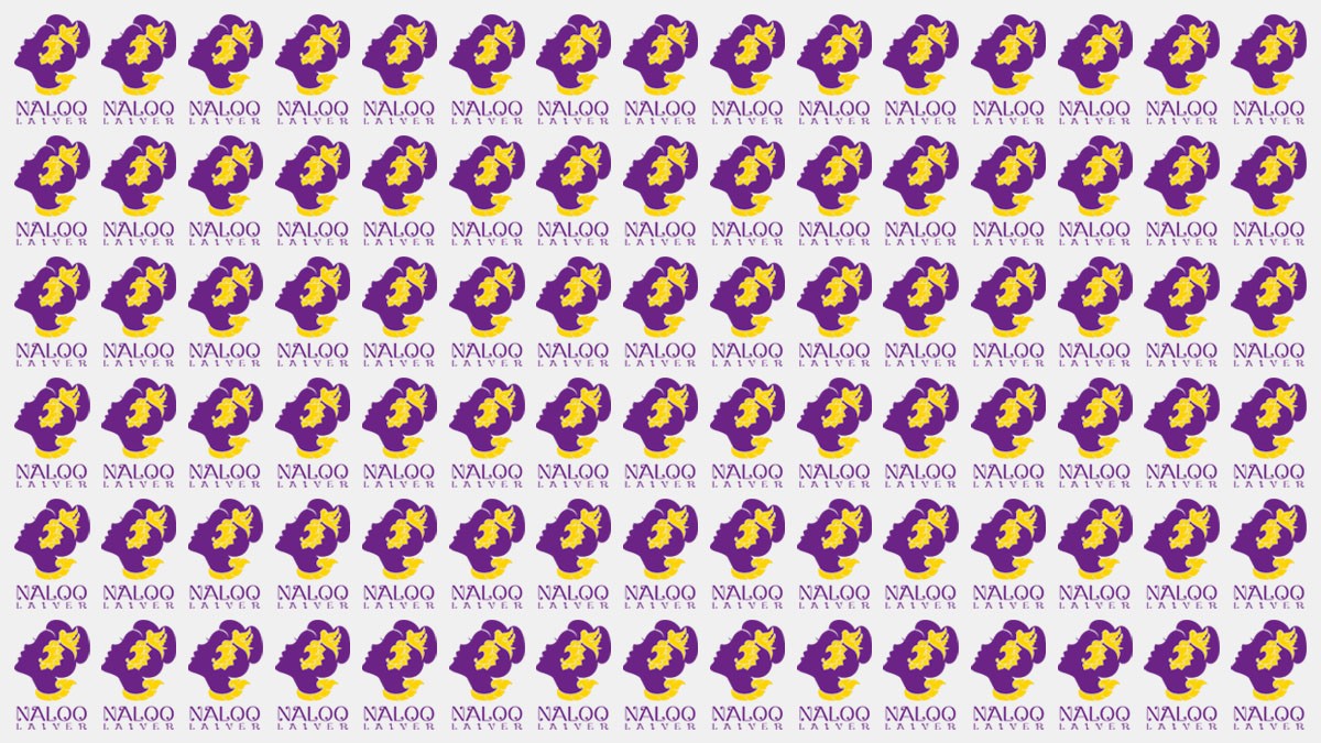 1579593738173588.jpg