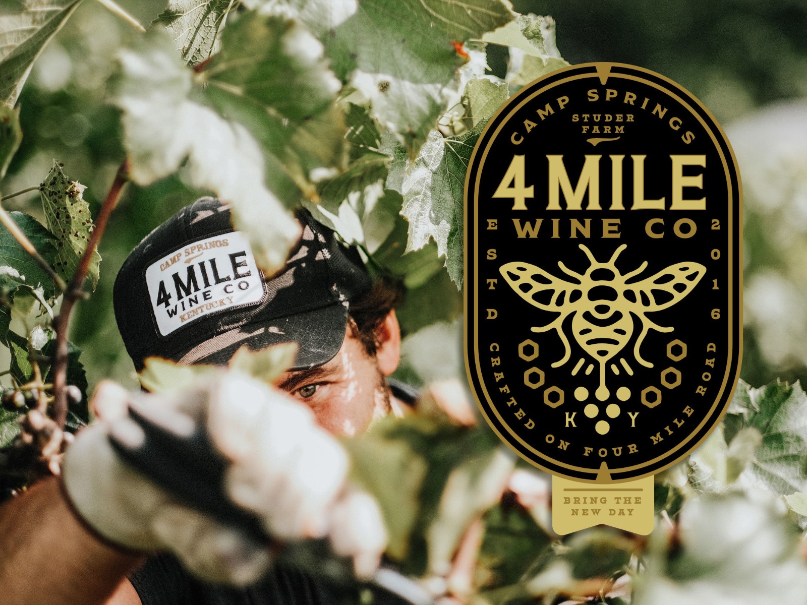 1724398776516591.jpg 1724398776516591.jpg