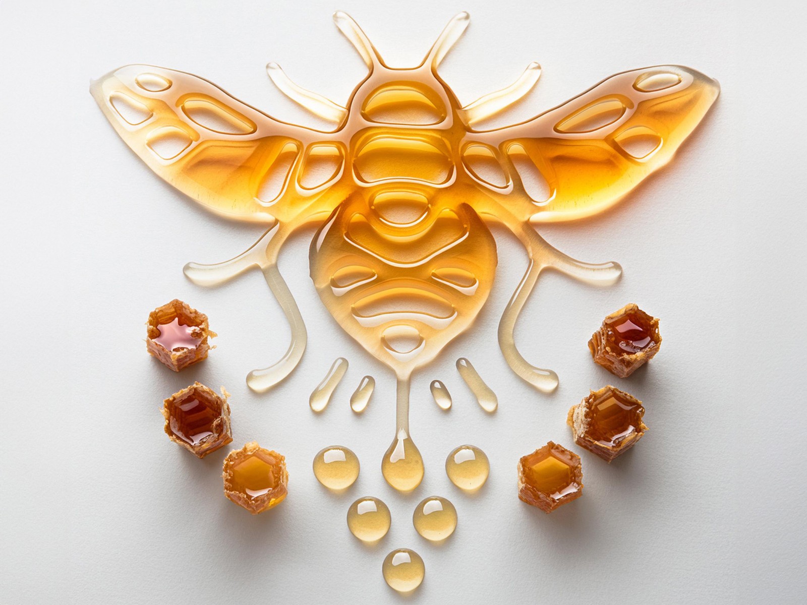 1724398776798732.jpg 1724398776798732.jpg