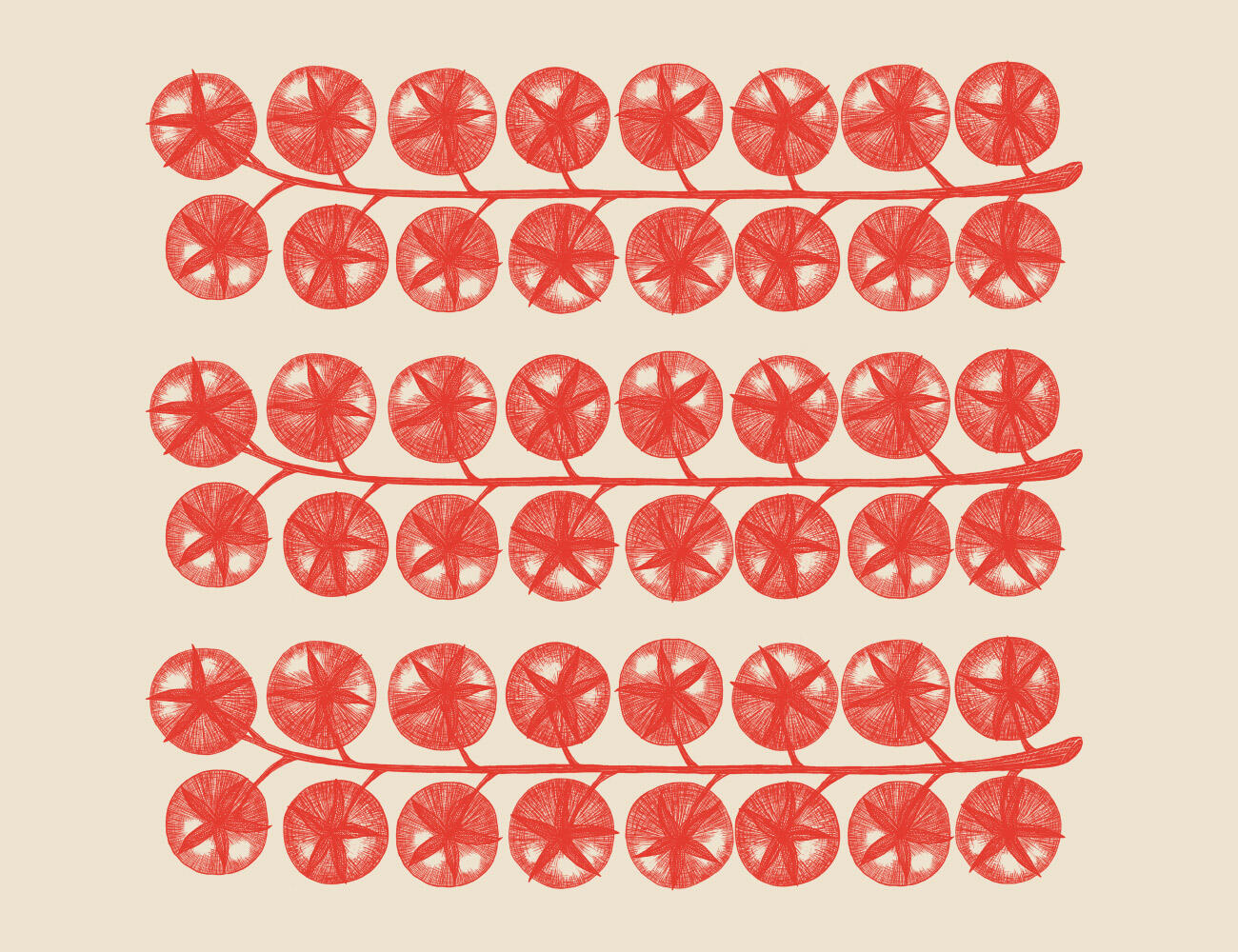 1726642210576678.jpeg 1726642210576678.jpeg