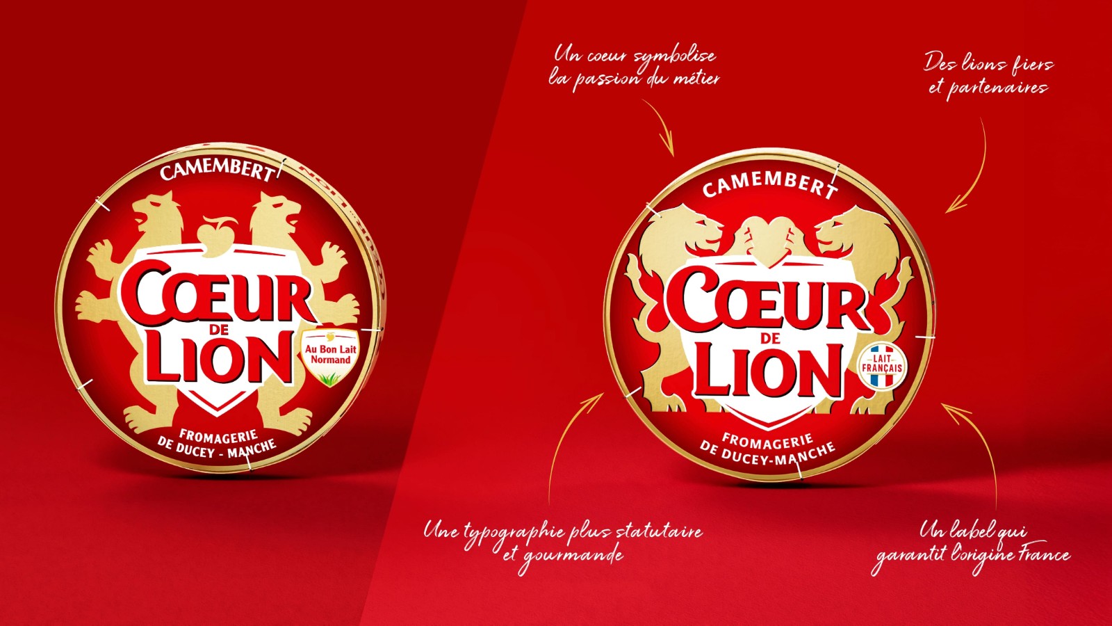 1733816632164038.jpeg 1733816632164038.jpeg