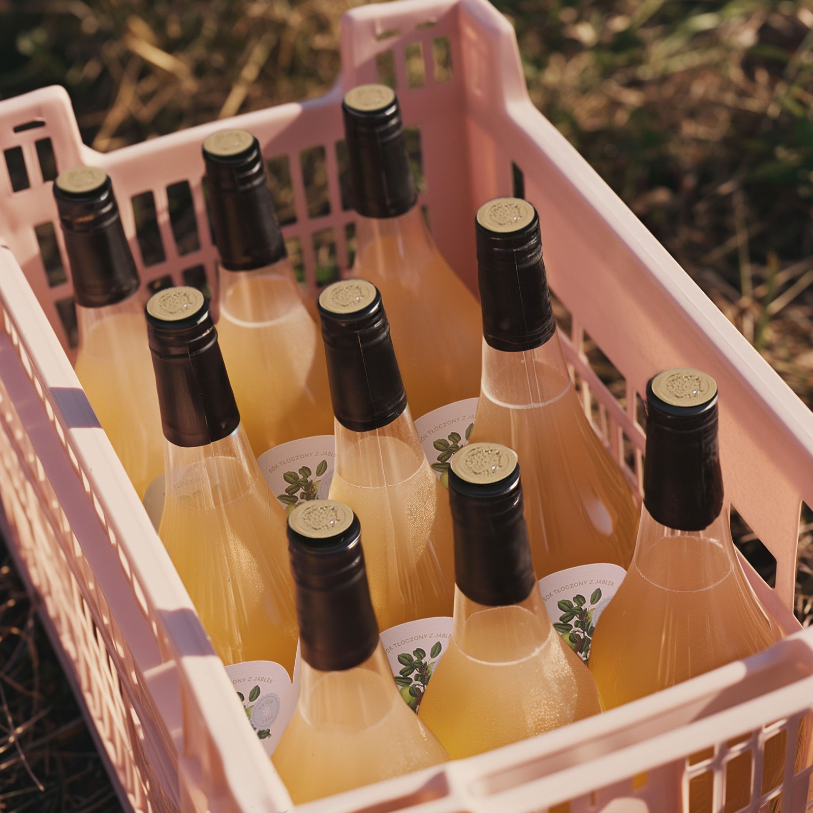 1741690316182909.jpg 1741690316182909.jpg