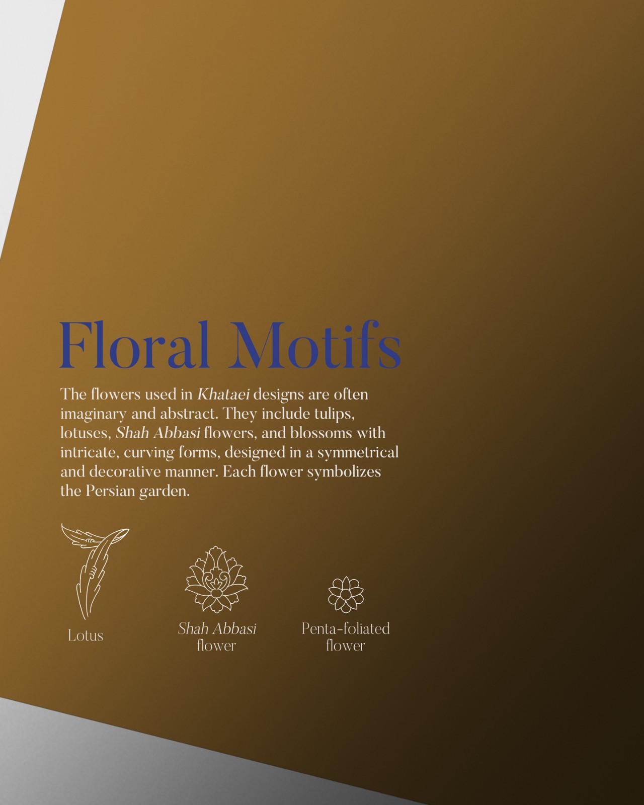 1742446542300682.jpg 1742446542300682.jpg