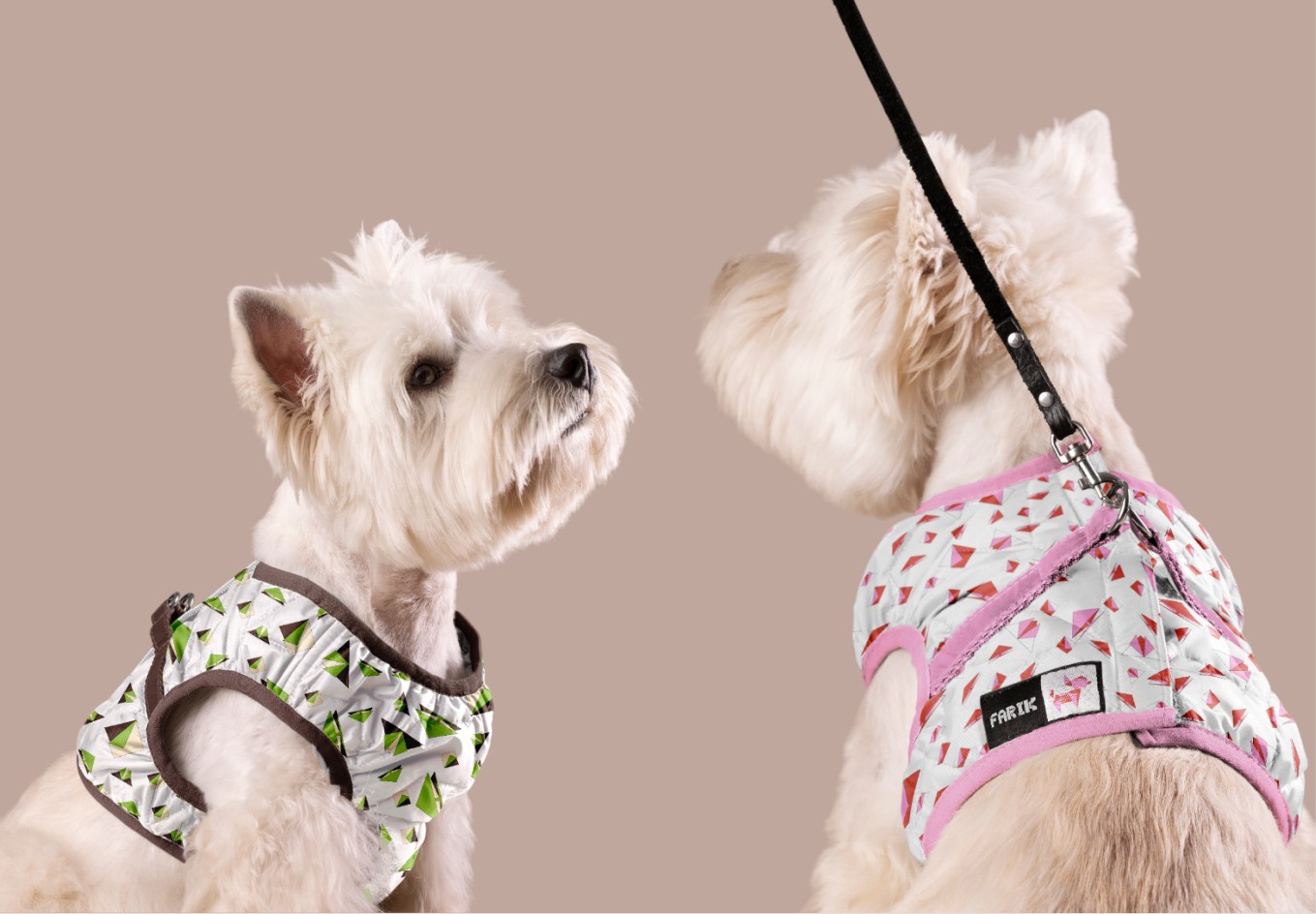 1744020811978308.jpg 1744020811978308.jpg