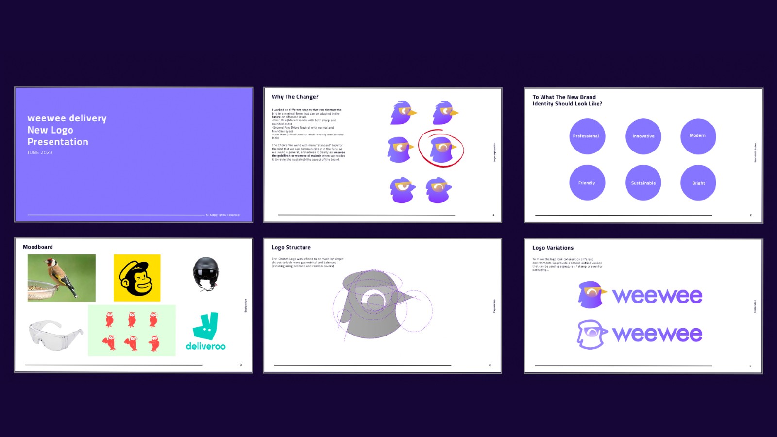 1744074919226561.jpg 1744074919226561.jpg