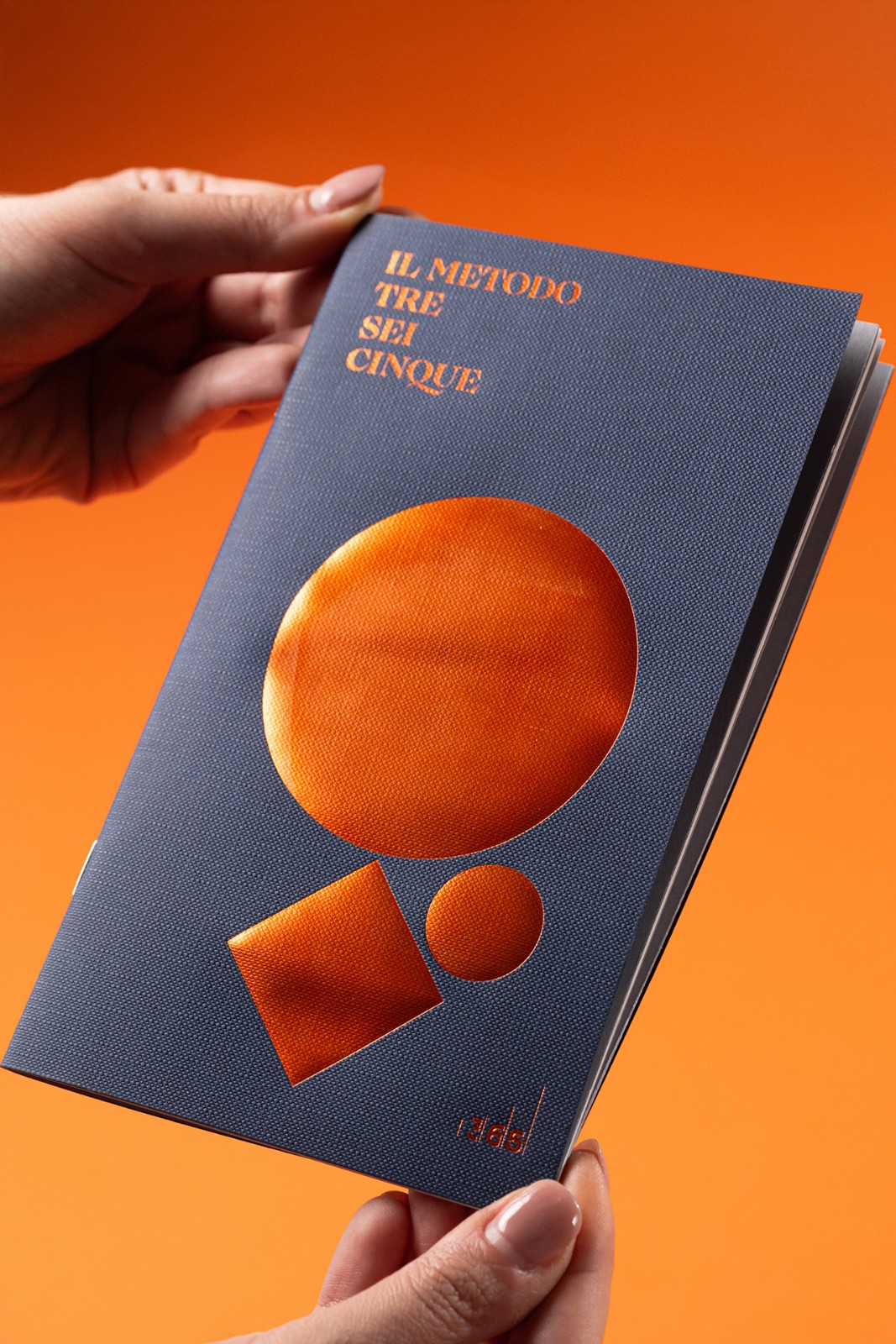 1746626902889571.jpg 1746626902889571.jpg