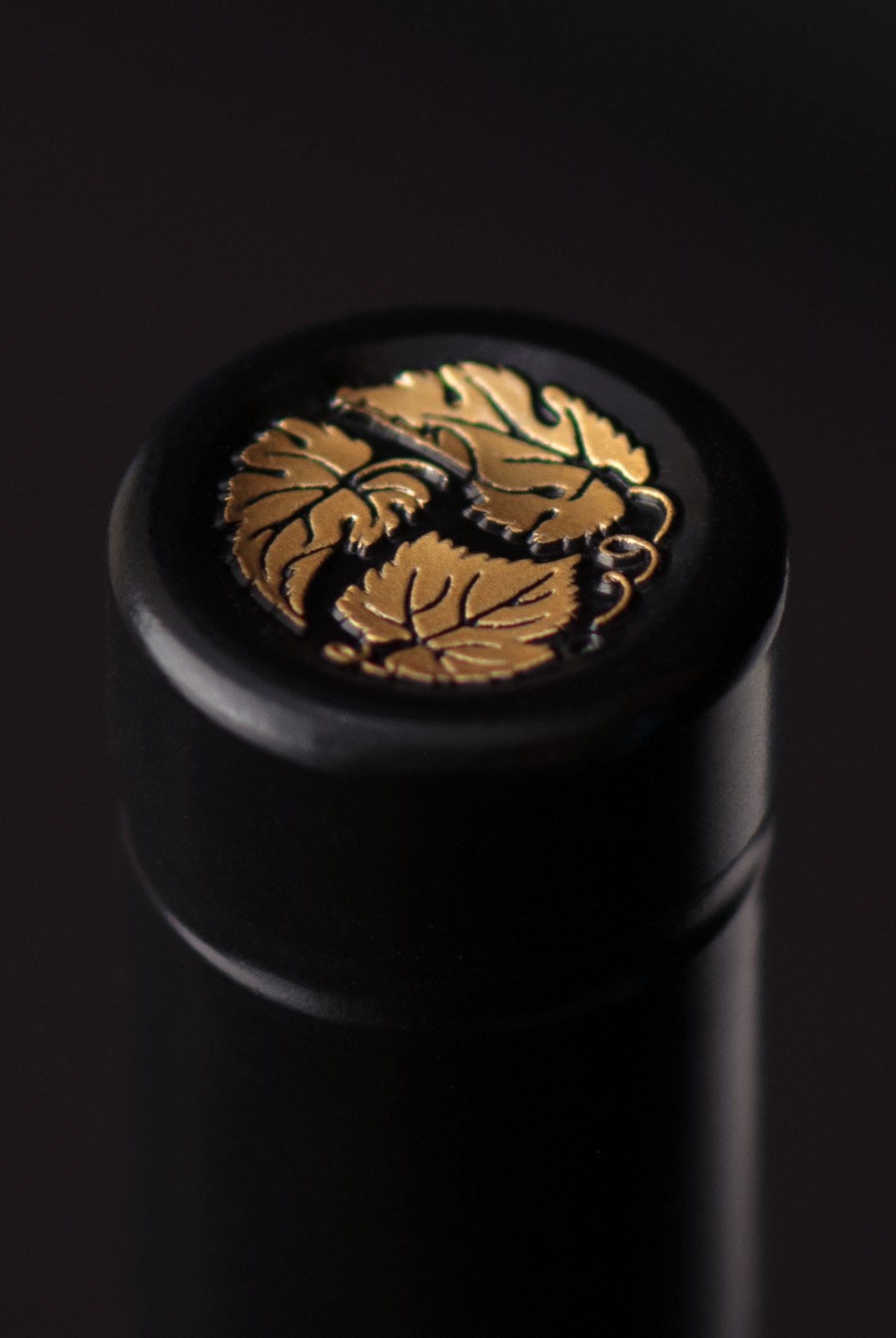 1747562274675320.jpg 1747562274675320.jpg